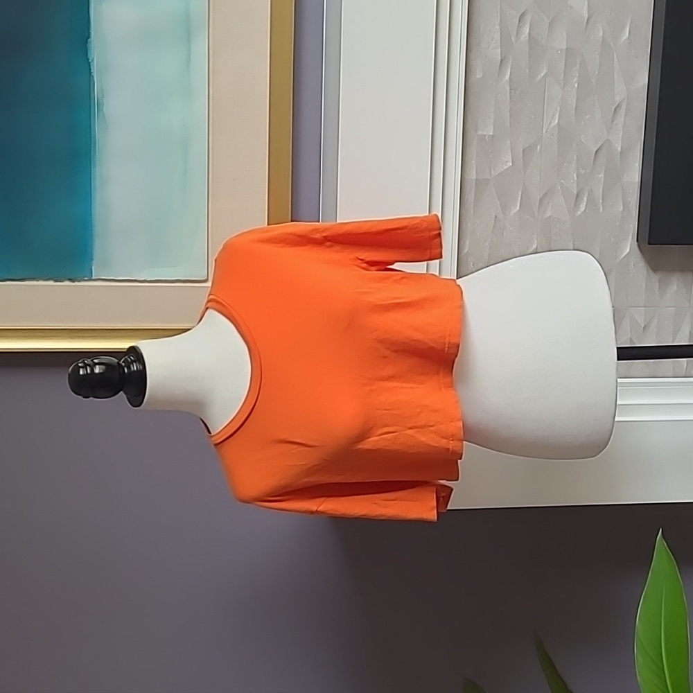Reformation Crop T-Shirt